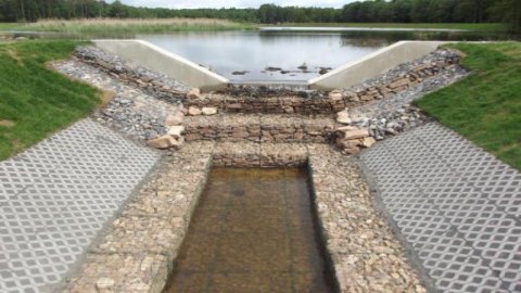 Three Ponds