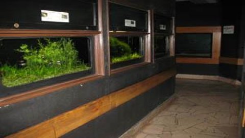 Municipal Zoological Garden