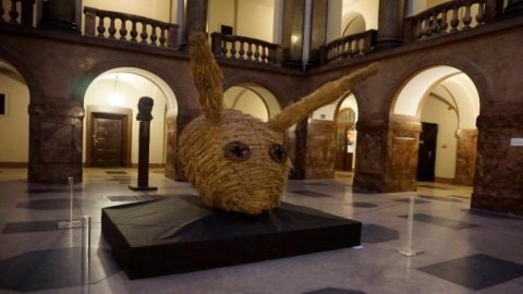 Muzeum Humoru i Absurdu
