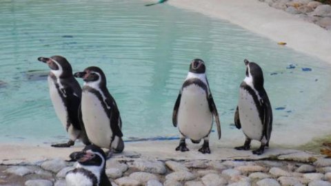 Zoo Kosice