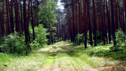 Sierakowski Park Krajobrazowy