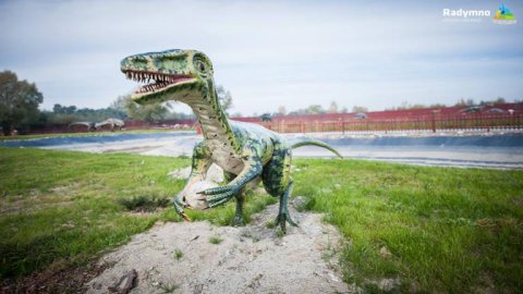 Dinozekolandia