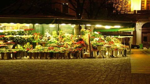 Plac solny we Wrocławiu