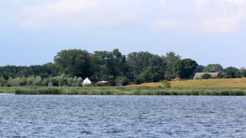 Wyspa Chrząszczewska