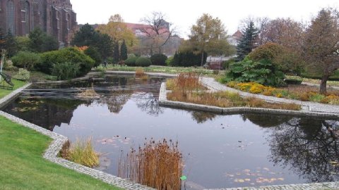 Botanical Garden in Wroclaw