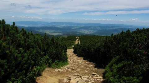 Pilsko
