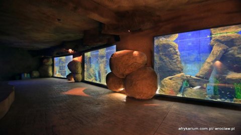 Afrykarium we wrocławskim ZOO