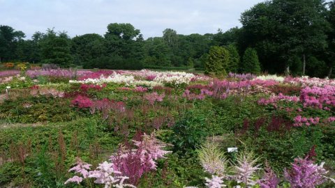Ogród Botaniczny Uniw. Wileńskiego