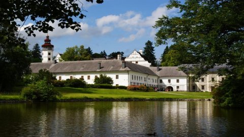 Castle Velké Losiny