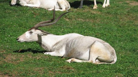 Zoo Olomouc