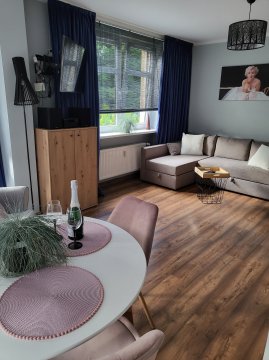 Apartament Świerkowy