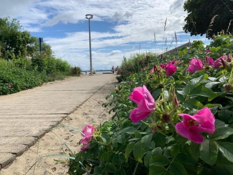 SeaSide Sopot