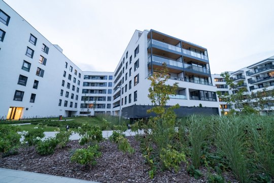 SuperApart Przerwana 1