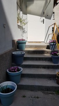 StudioSpanie Pokój z łazienką przy plaży w Sopocie