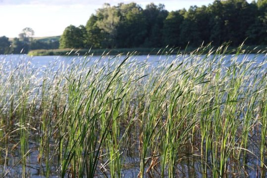 Lunette Lodge z sauną na 10 osób nad jeziorem
