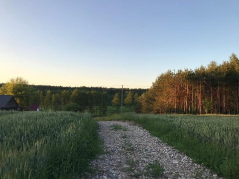 Siedlisko Barycz-Kolonia