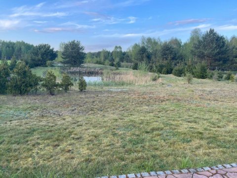 WILLA NA WYŁĄCZNOŚĆ LAS, NATURA