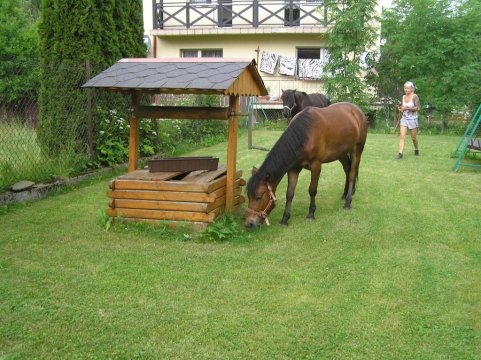 Domek z jacuzzi, idealny dla rodziny,blisko do lasu i szlaków górskich 