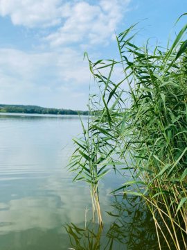 Korony Drzew - Apartamenty Mazury