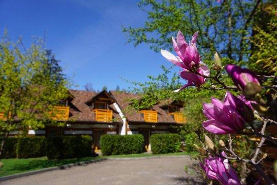 Osada Kamratowo w Wiśle to pokoje i domki w szeregu, każdy z prywatnym wejściem.