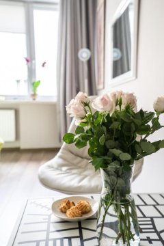 Sunny Wisła River Apartment