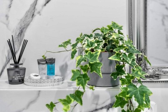 Apartaments Karlikowska Lux