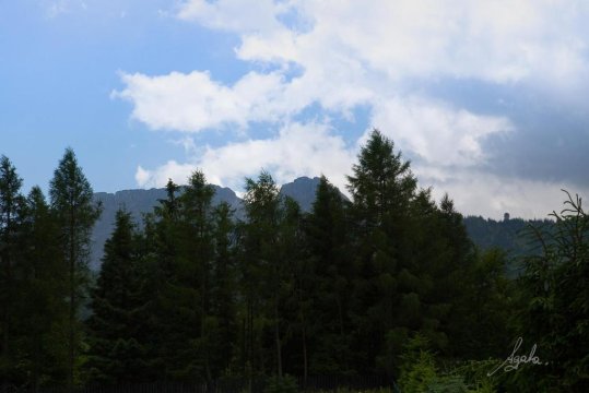 Apartament Królewski Superior z sauną