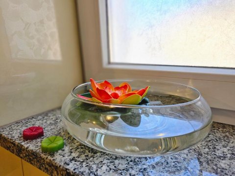 Dom Kasienka - Na Wyłączność