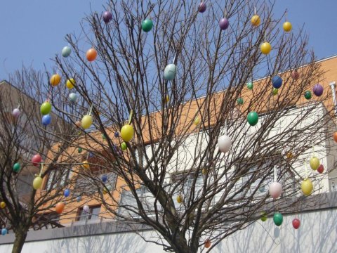 VERDE Apartamenty Zielone Tarasy