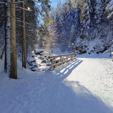 Domek NBD-bafia z kominkiem