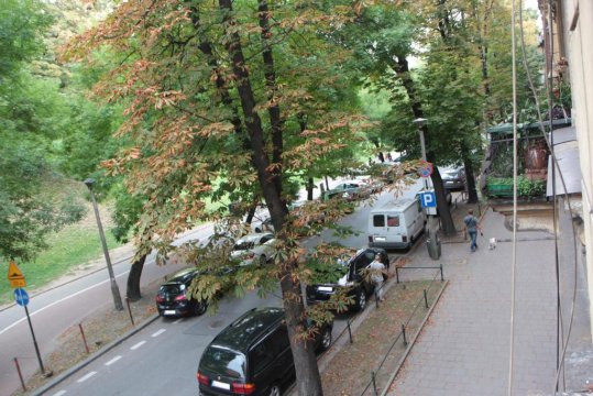 Apartment Bernardynska