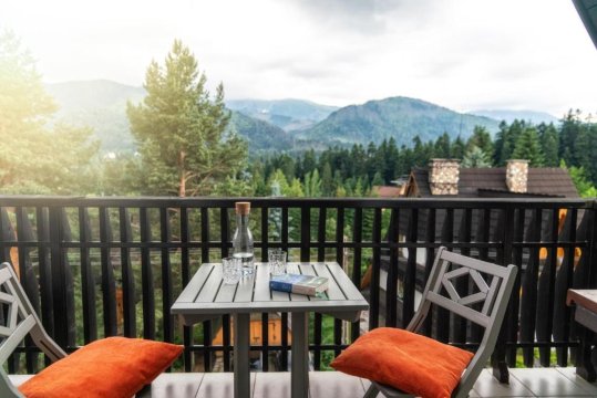 Kameralny Apartament Chateau Karpielówka Kościelisko z widokiem i wlasnym garażem