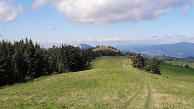 Apartament JBF Homole