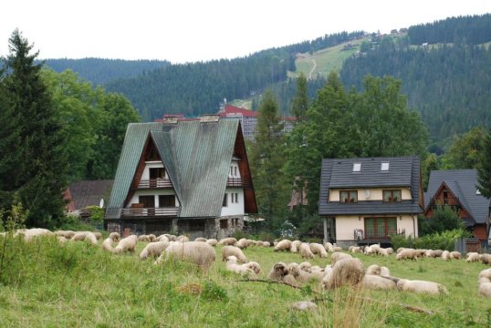 Domek Na Wierchu i Apartament na Wierchu