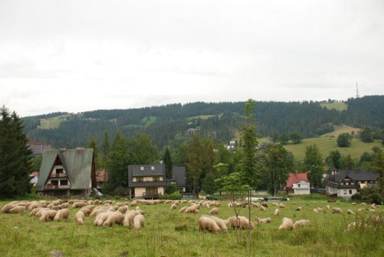 Domek Na Wierchu i Apartament na Wierchu