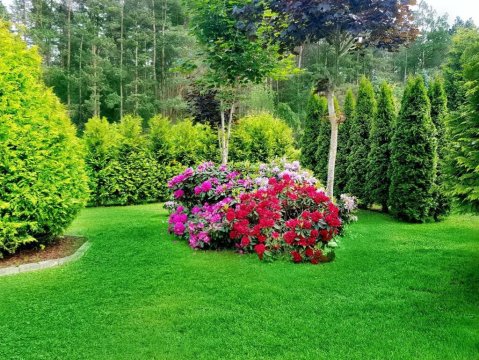 Ferienhaus Franziska