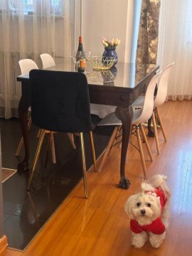 Apartament Diana - Traugutta Wrocław