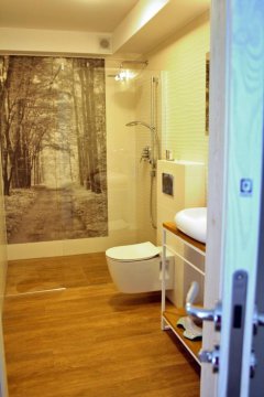 Apartament Homole D2