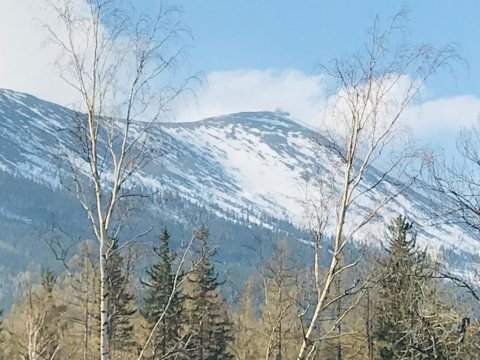 Apartament Sarnia Z widokiem na Śnieżkę