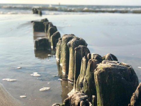 Biały apartament z tarasem w Playa Baltis