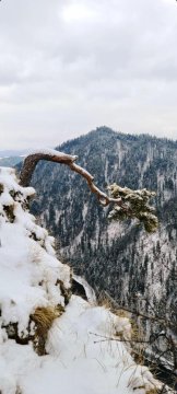 Apartamenty Homole Mansarda