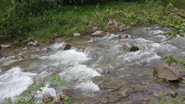 Apartamenty Homole Apartament D5