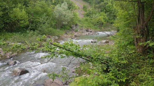 Apartamenty Homole Apartament D5