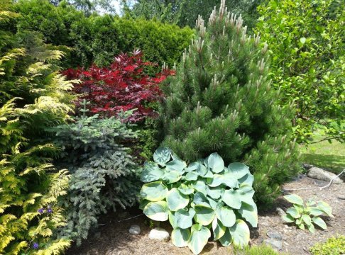 WISŁA-DOM PRZY RZECE