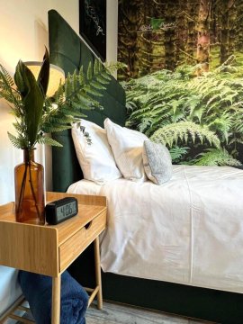 Apartament Dzika Paproć