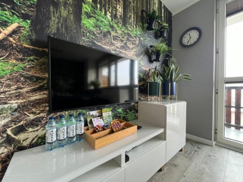 Apartament Dzika Paproć