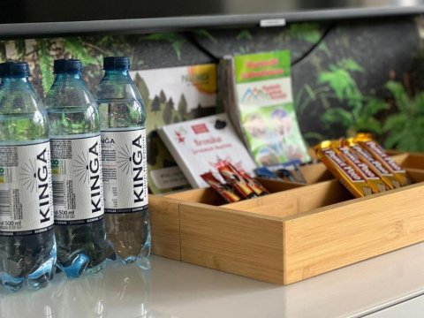 Apartament Dzika Paproć