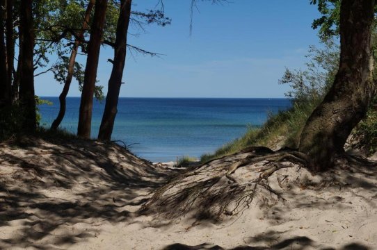 Green Dream Polanki - Sauna & Bicycle & Bicycle room