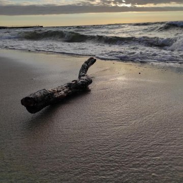 Apartament Promenada Park Kołobrzeg