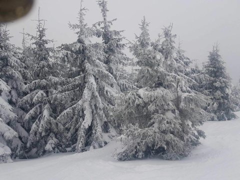 Chata nad Bystrzykiem - Apartament Karpacz